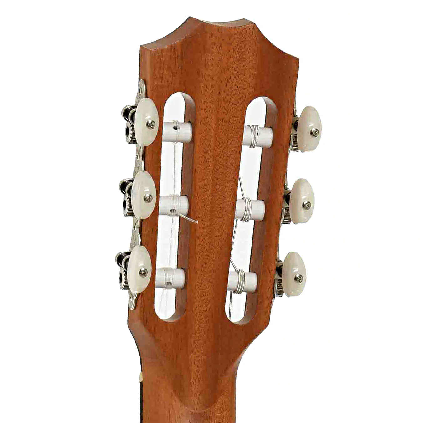 Taylor 214CE-N Nylon String Acoustic Guitar (2022) - Image 9