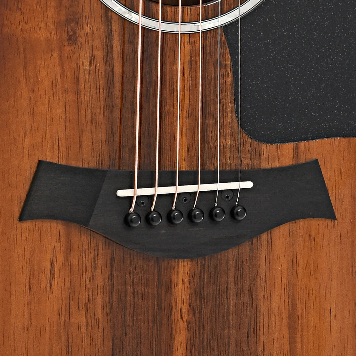 Taylor 224ce-K Deluxe Acoustic-Electric Guitar & Case - Image 5