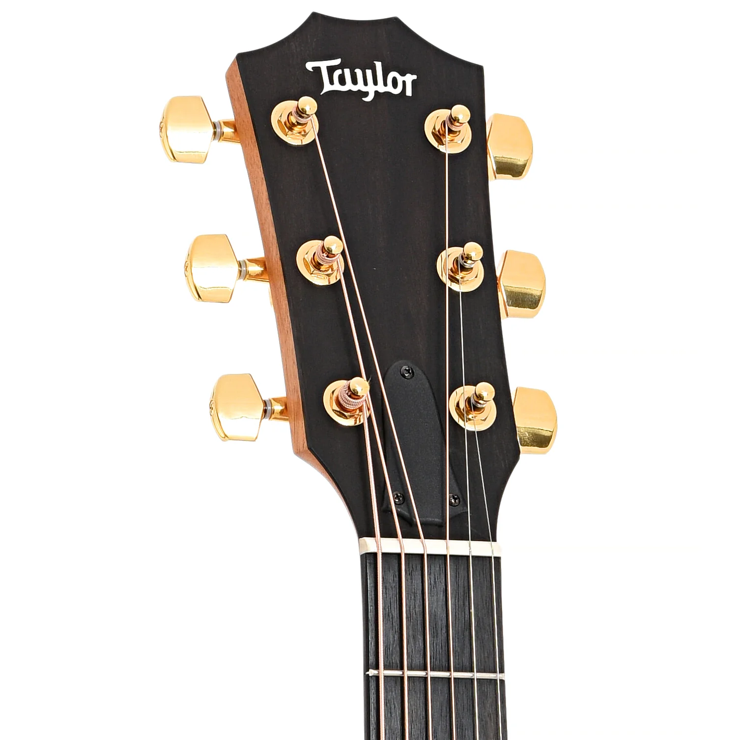Taylor 224ce-K Deluxe Acoustic-Electric Guitar & Case - Image 8