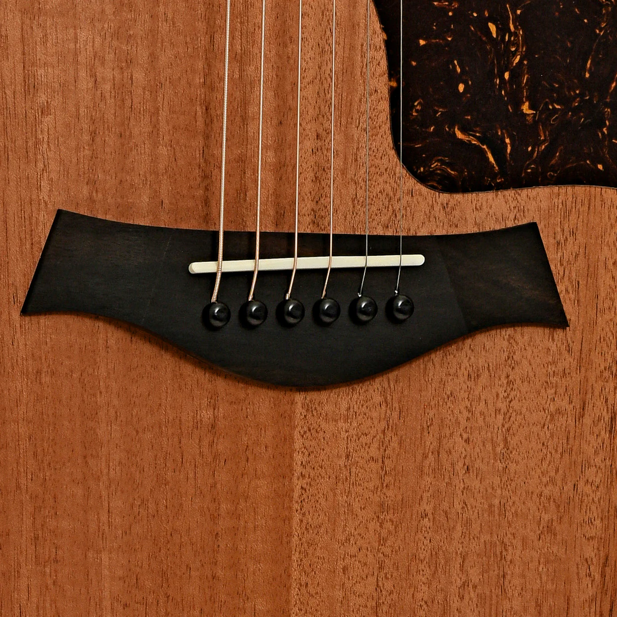 Taylor 24ce Acoustic-Electric Guitar & Gigbag - Image 5