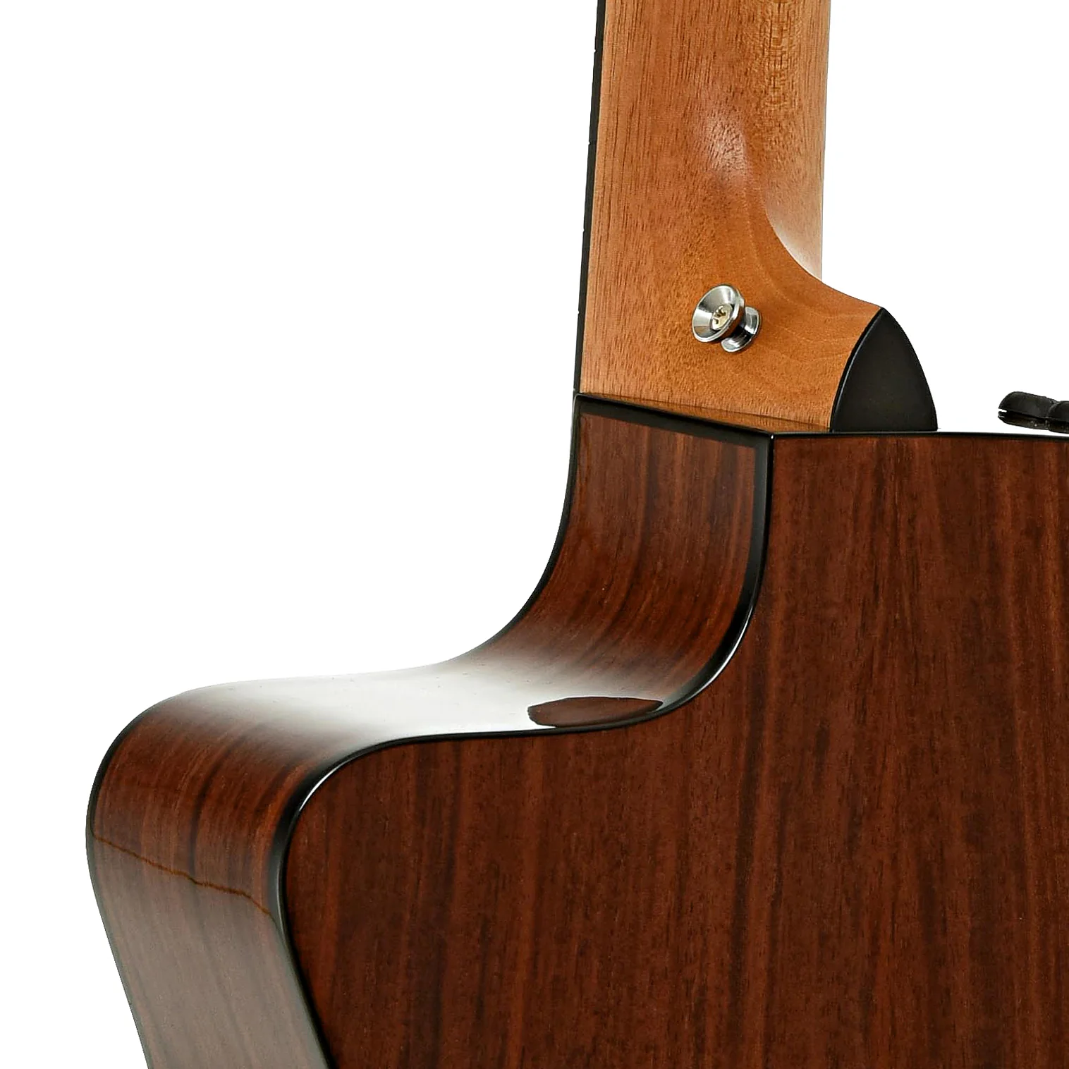 Taylor 254ce Plus 12-String Acoustic-Electric Guitar & Case - Image 10
