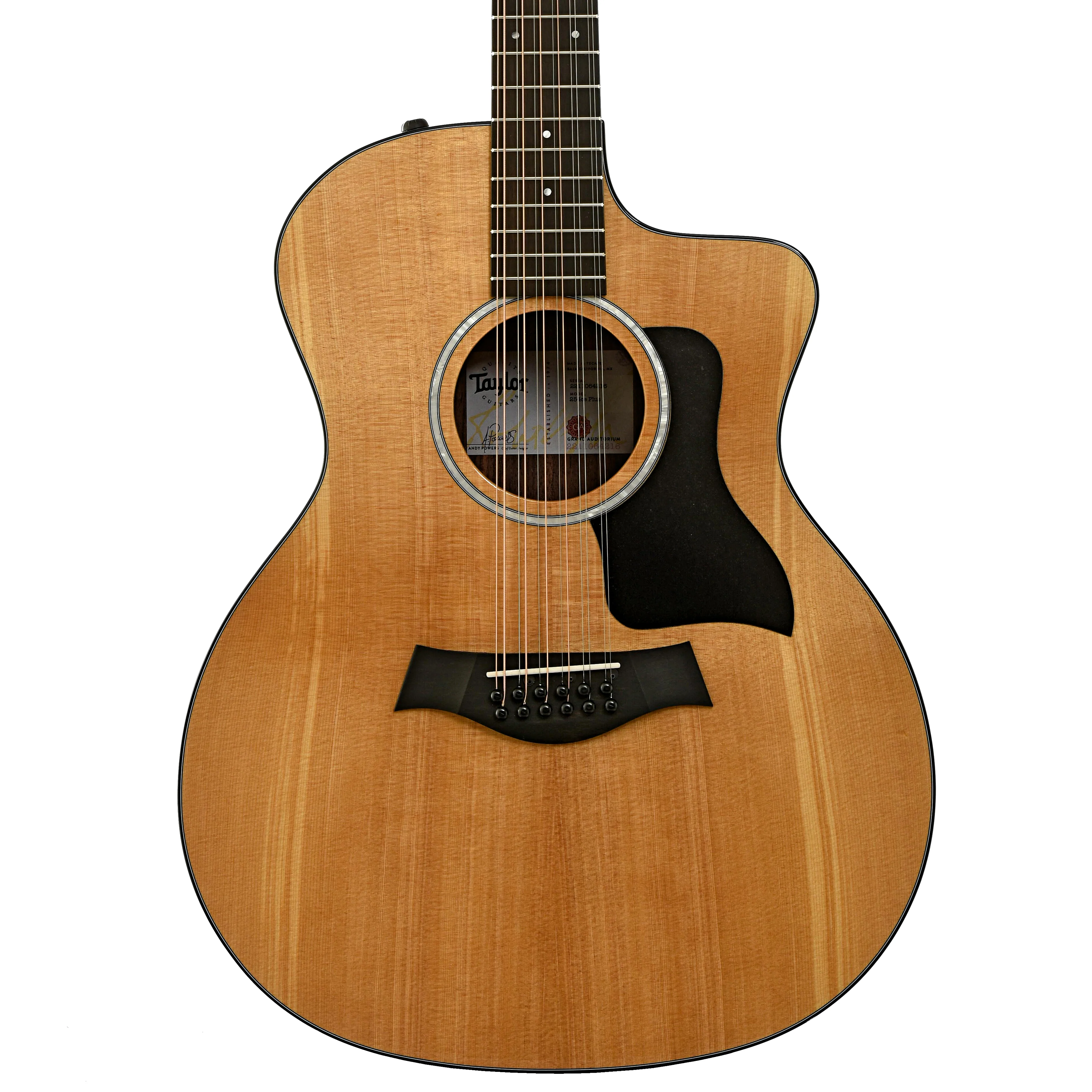 Taylor 254ce Plus 12-String Acoustic-Electric Guitar & Case - Image 2