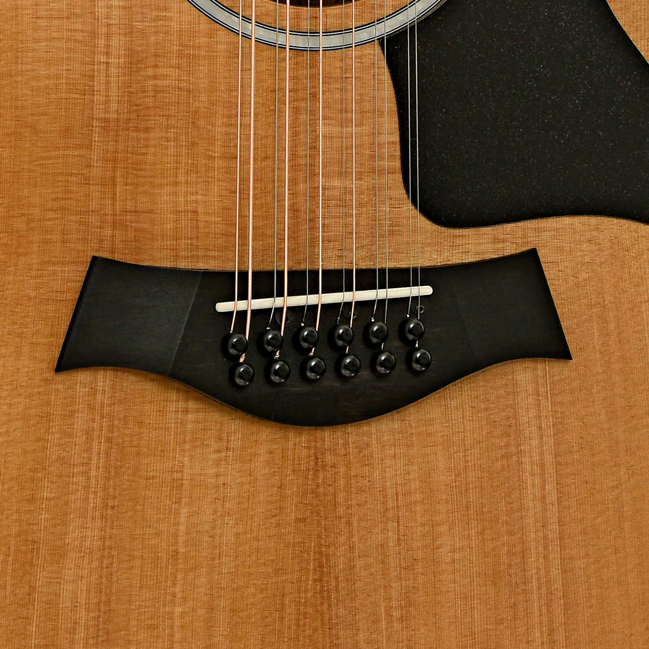 Taylor 254ce Plus 12-String Acoustic-Electric Guitar & Case - Image 5