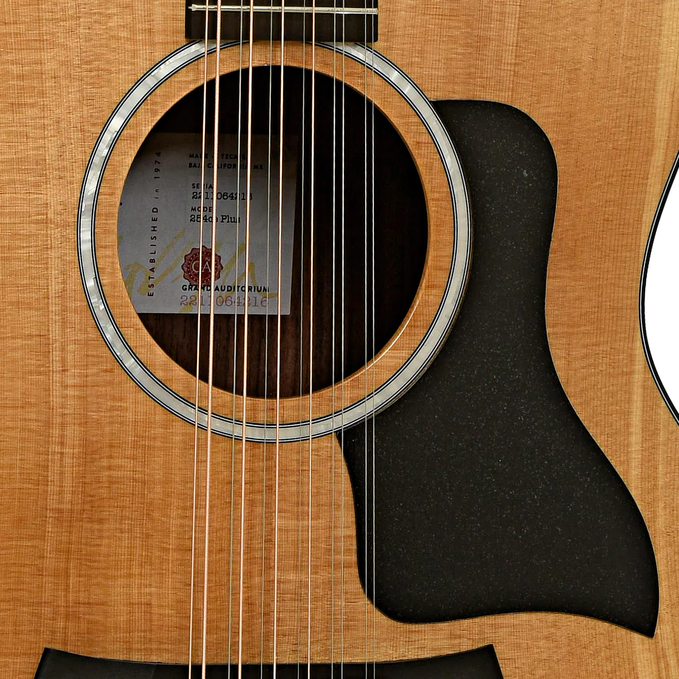 Taylor 254ce Plus 12-String Acoustic-Electric Guitar & Case - Image 6