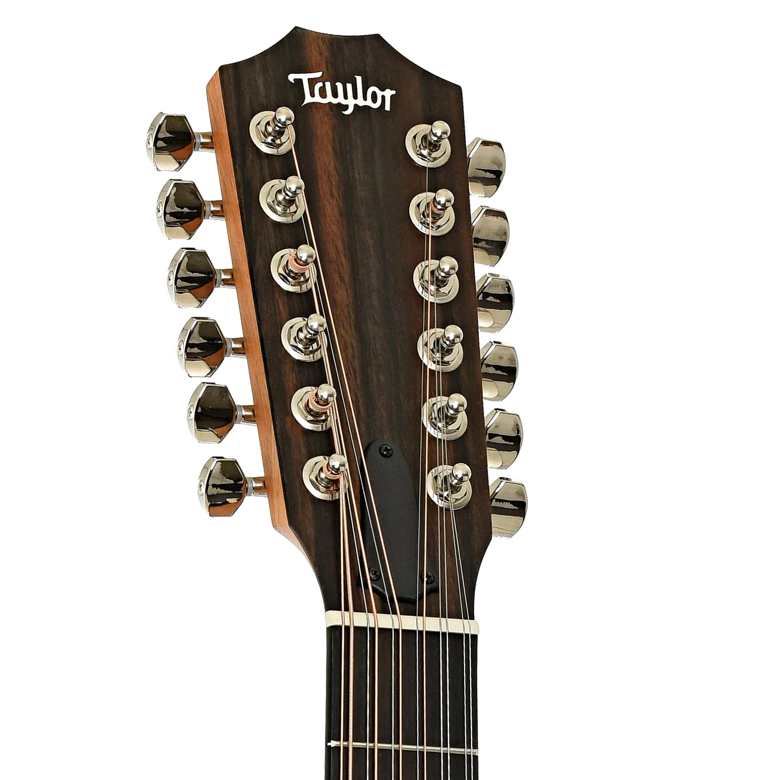 Taylor 254ce Plus 12-String Acoustic-Electric Guitar & Case - Image 8