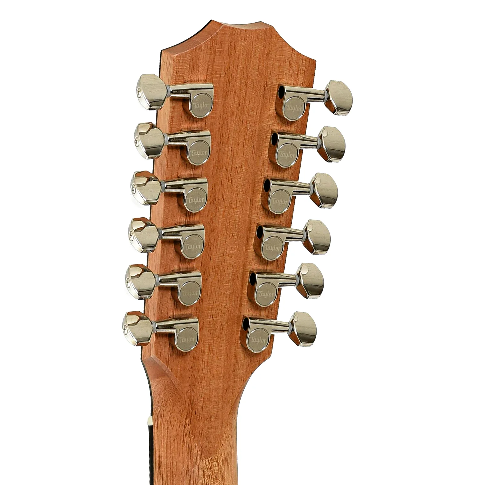 Taylor 254ce Plus 12-String Acoustic-Electric Guitar & Case - Image 9