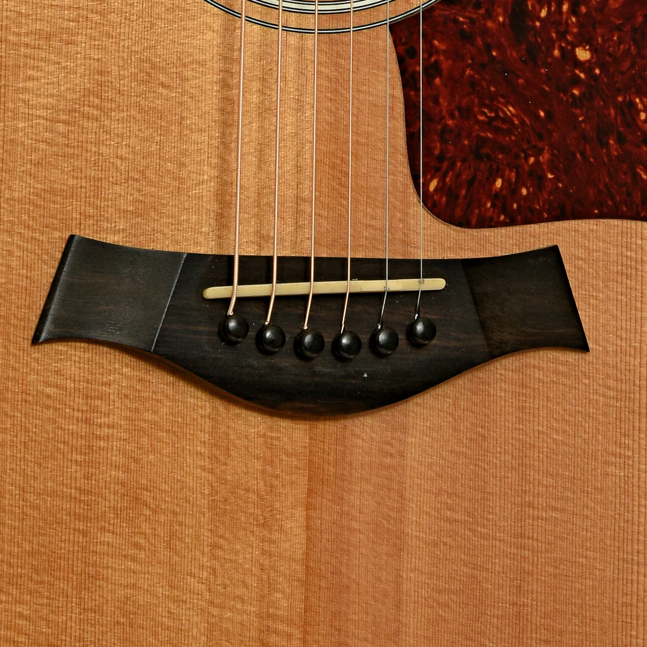 Taylor 310-CE Acoustic-Electric Guitar (1998) - Image 5