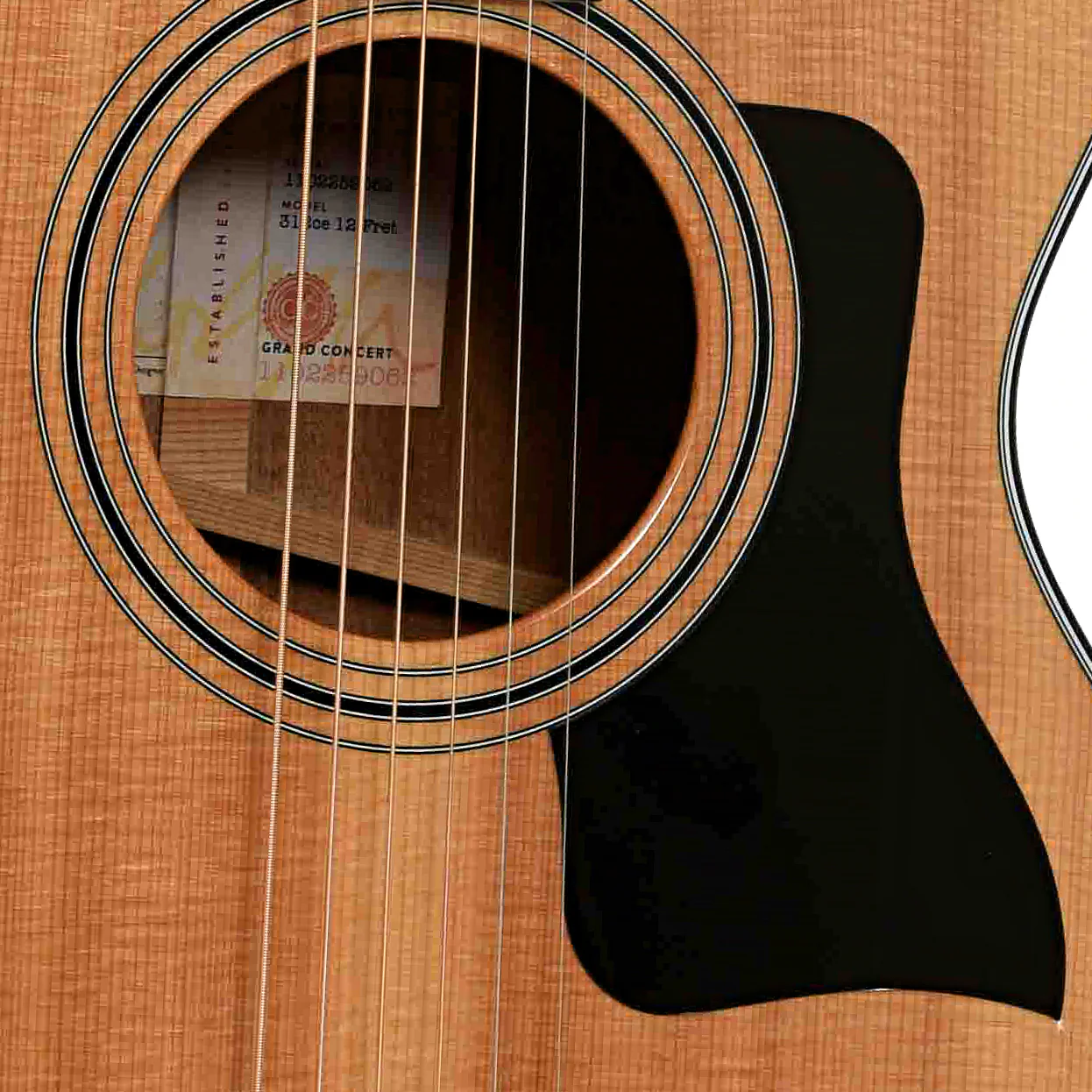 Taylor 312ce 12-fret V-Class Acoustic-Electric Guitar (2019) - Image 6
