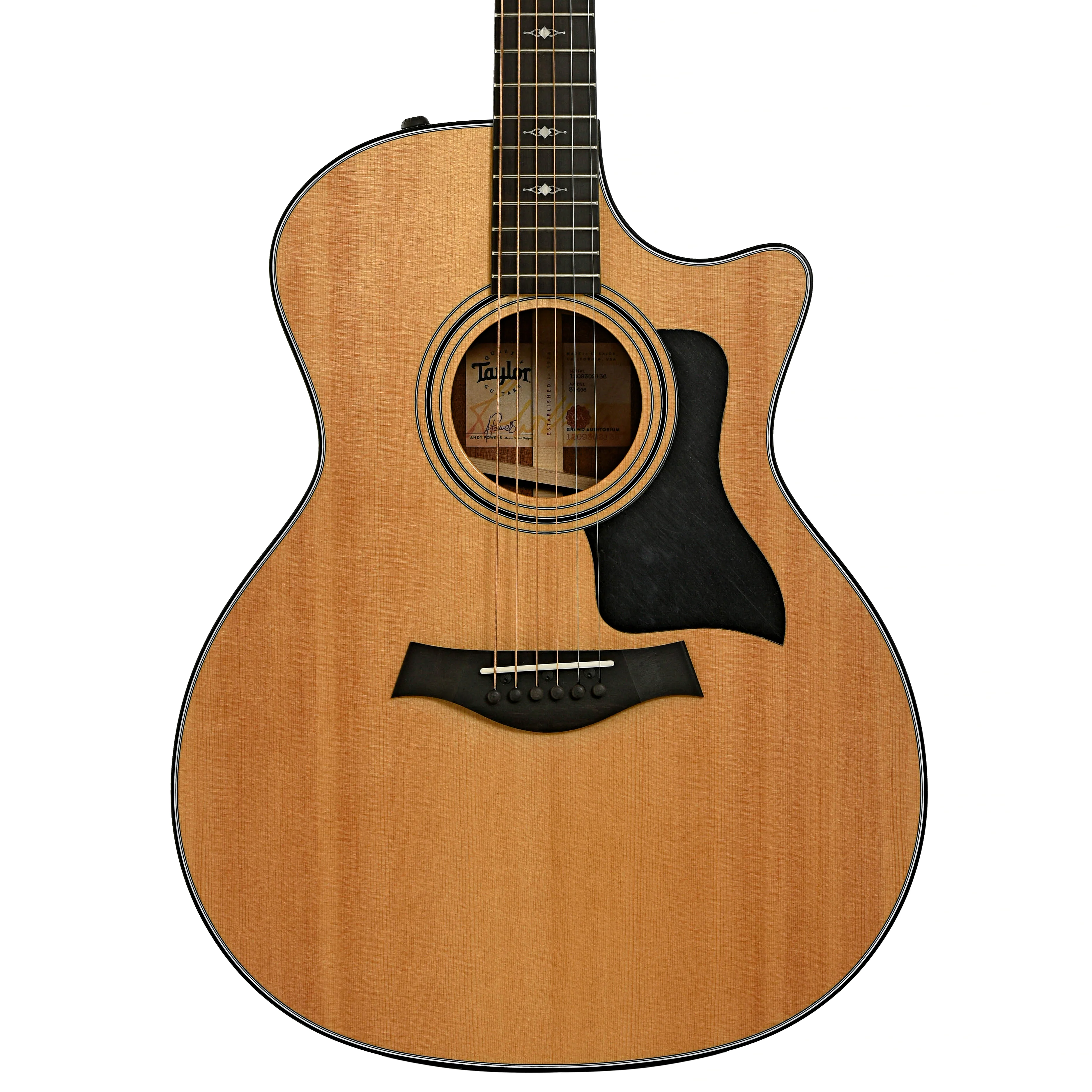 Taylor 314ce Acoustic-Electric Guitar (2022) - Image 2