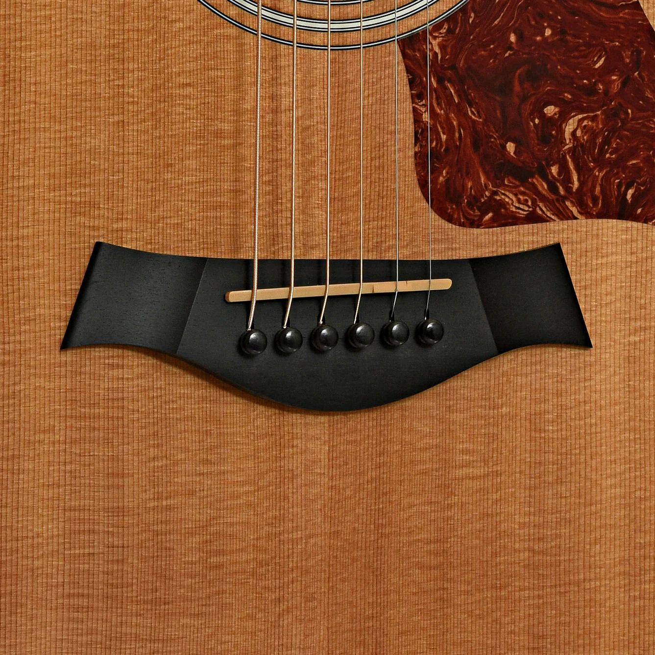 Taylor 314CE Acoustic-Electric Guitar (2008) - Image 5