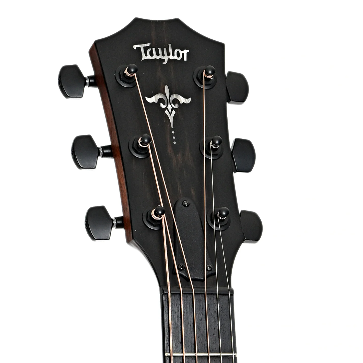 Taylor 314ce Koa LTD Acoustic- Electric Guitar (2021) - Image 8