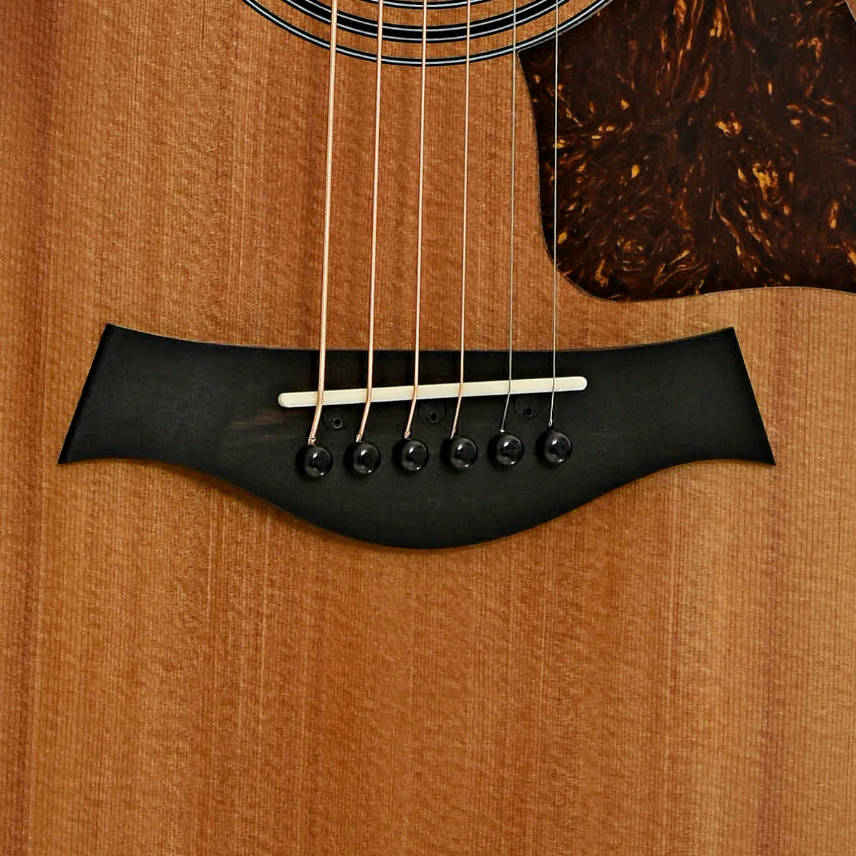 Taylor 314ce Studio Acoustic-Electric Guitar & Gigbag, Shaded Edgeburst - Image 5