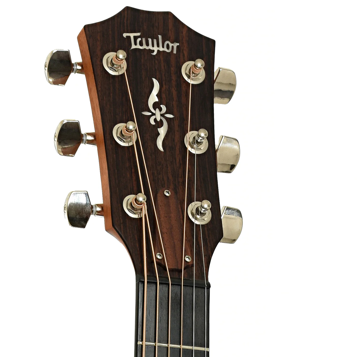 Taylor 414-ceR V-Class Acoustic Electric Guitar (2020) - Image 8