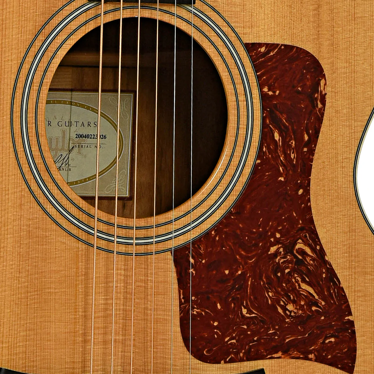 Taylor 415-CE Jumbo Acoustic-Electric Guitar (2004) - Image 6
