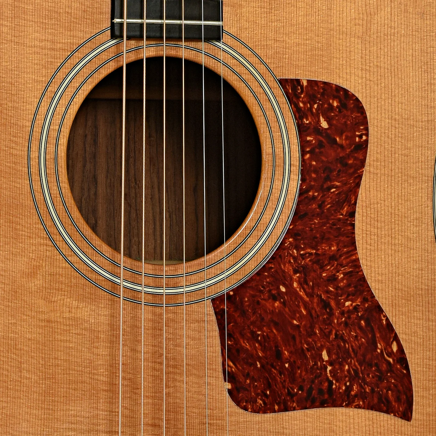 Taylor 420 Rosewood Acoustic Guitar (1993) - Image 6