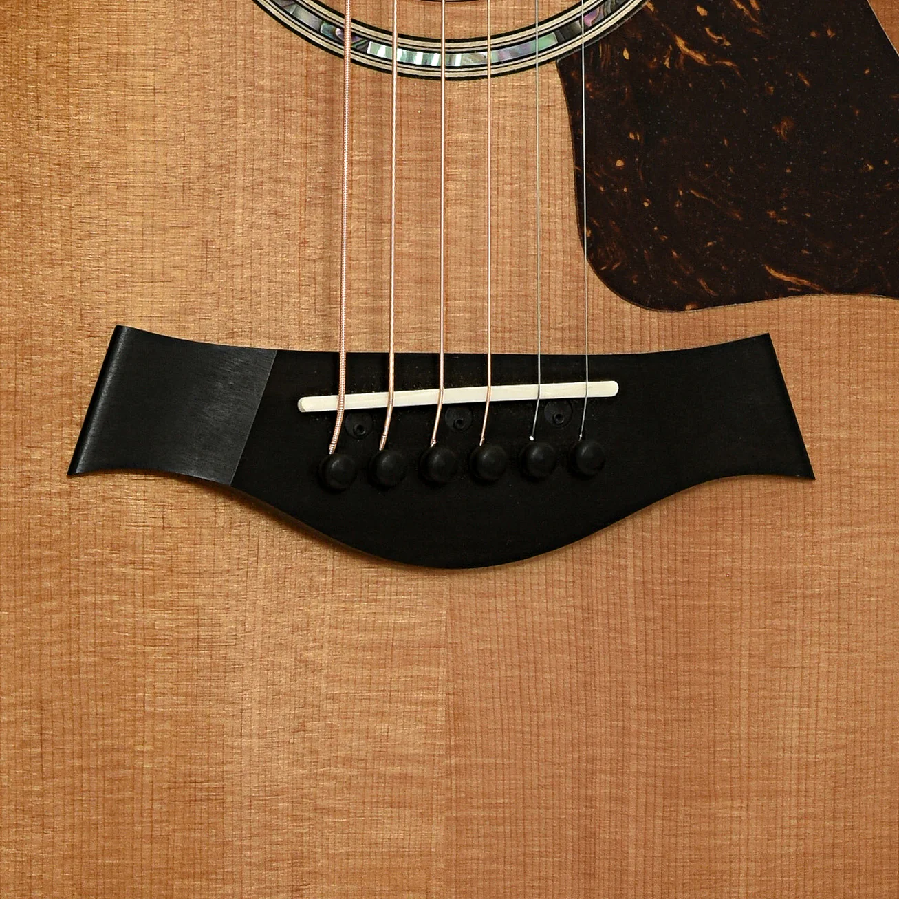 Taylor 512CE Acoustic Guitar (2025) - Image 5