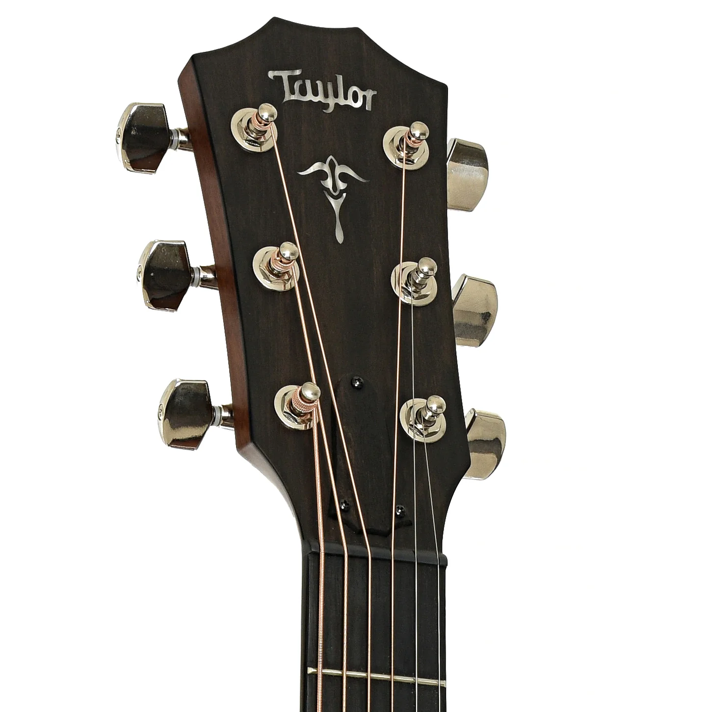Taylor 512CE Acoustic Guitar (2025) - Image 8