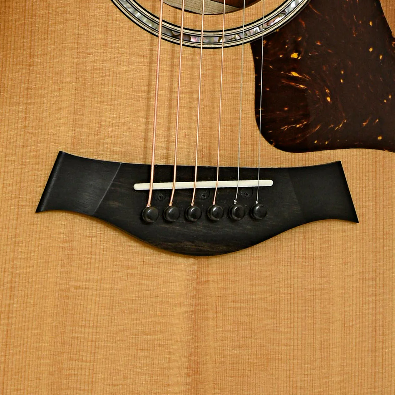 Taylor 512ce Urban Ironbark Acoustic-Electric Guitar (2022) - Image 5