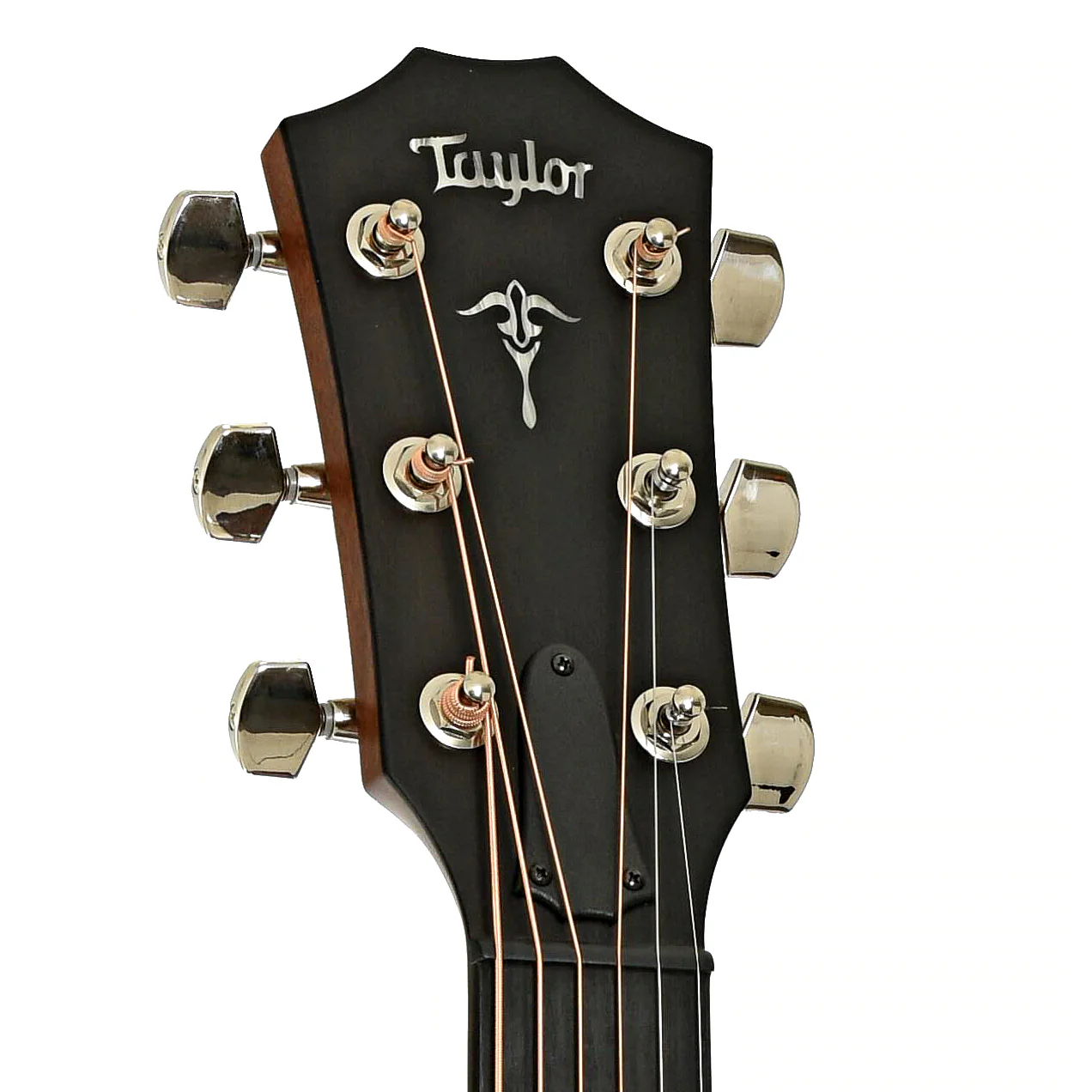 Taylor 512ce Urban Ironbark Acoustic-Electric Guitar (2022) - Image 8