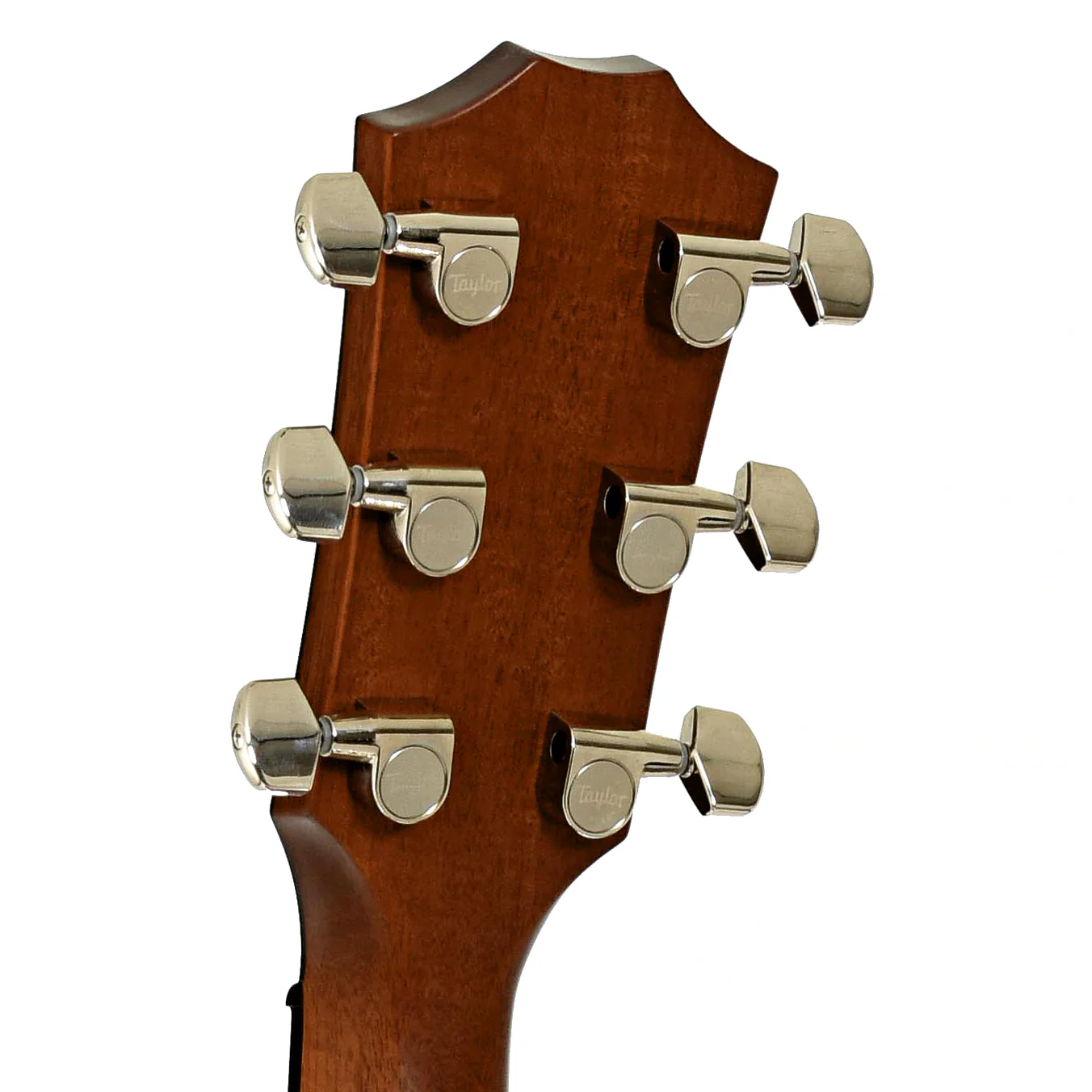 Taylor 512ce Urban Ironbark Acoustic-Electric Guitar (2022) - Image 9