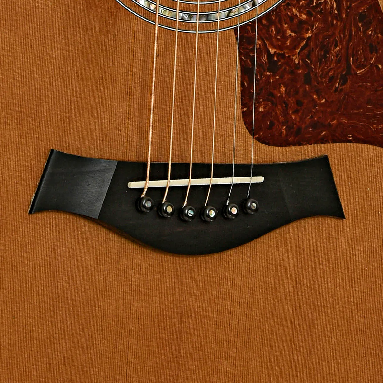 Taylor 514-C Acoustic Guitar (1997) - Image 5