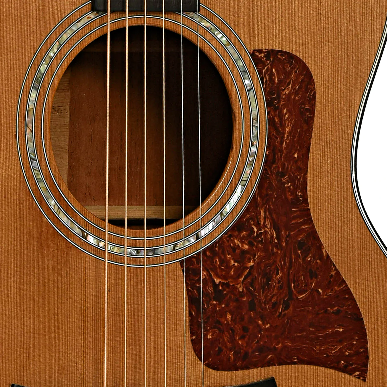 Taylor 514-C Acoustic Guitar (1997) - Image 6