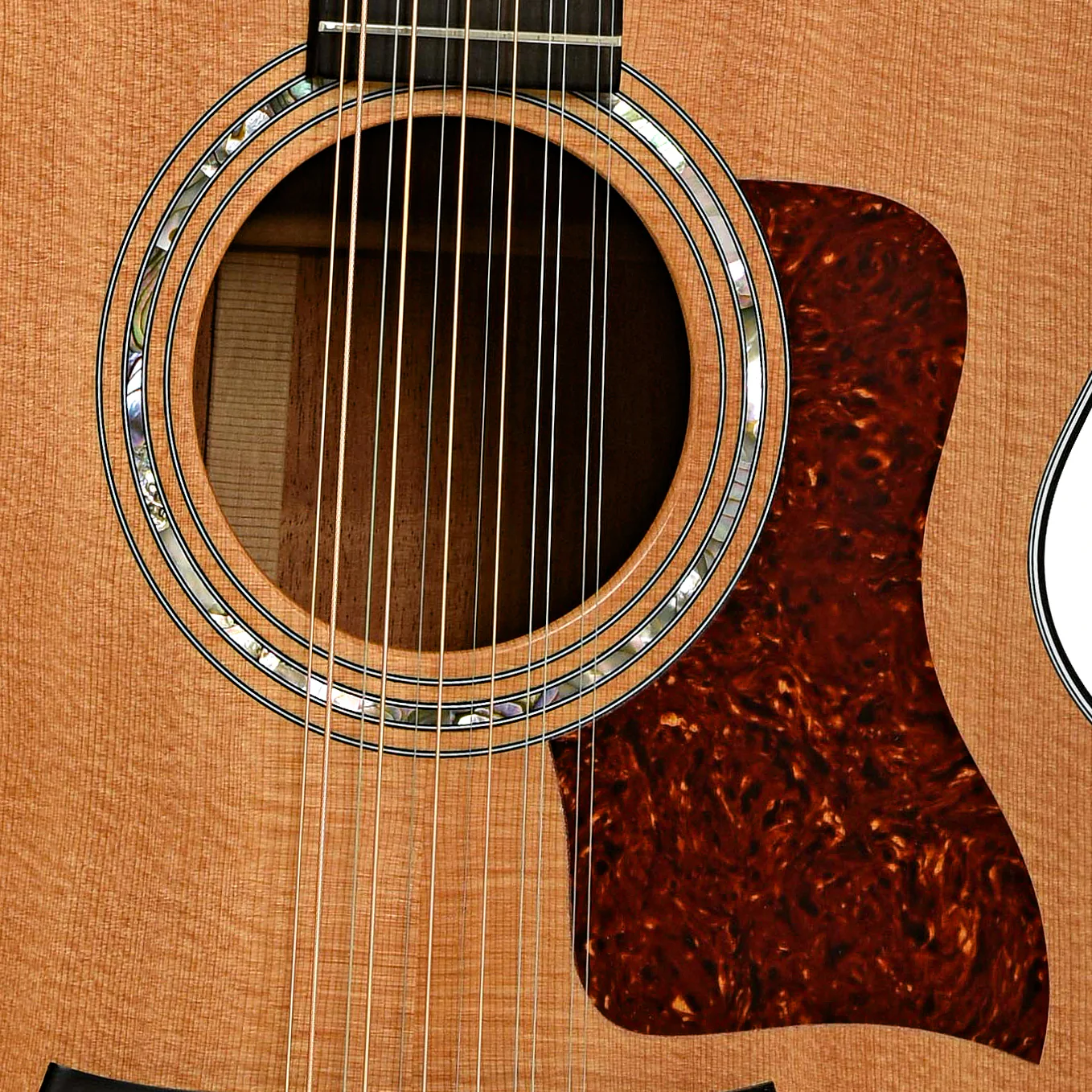 Taylor 555 12-String Acoustic Guitar (1993) - Image 6