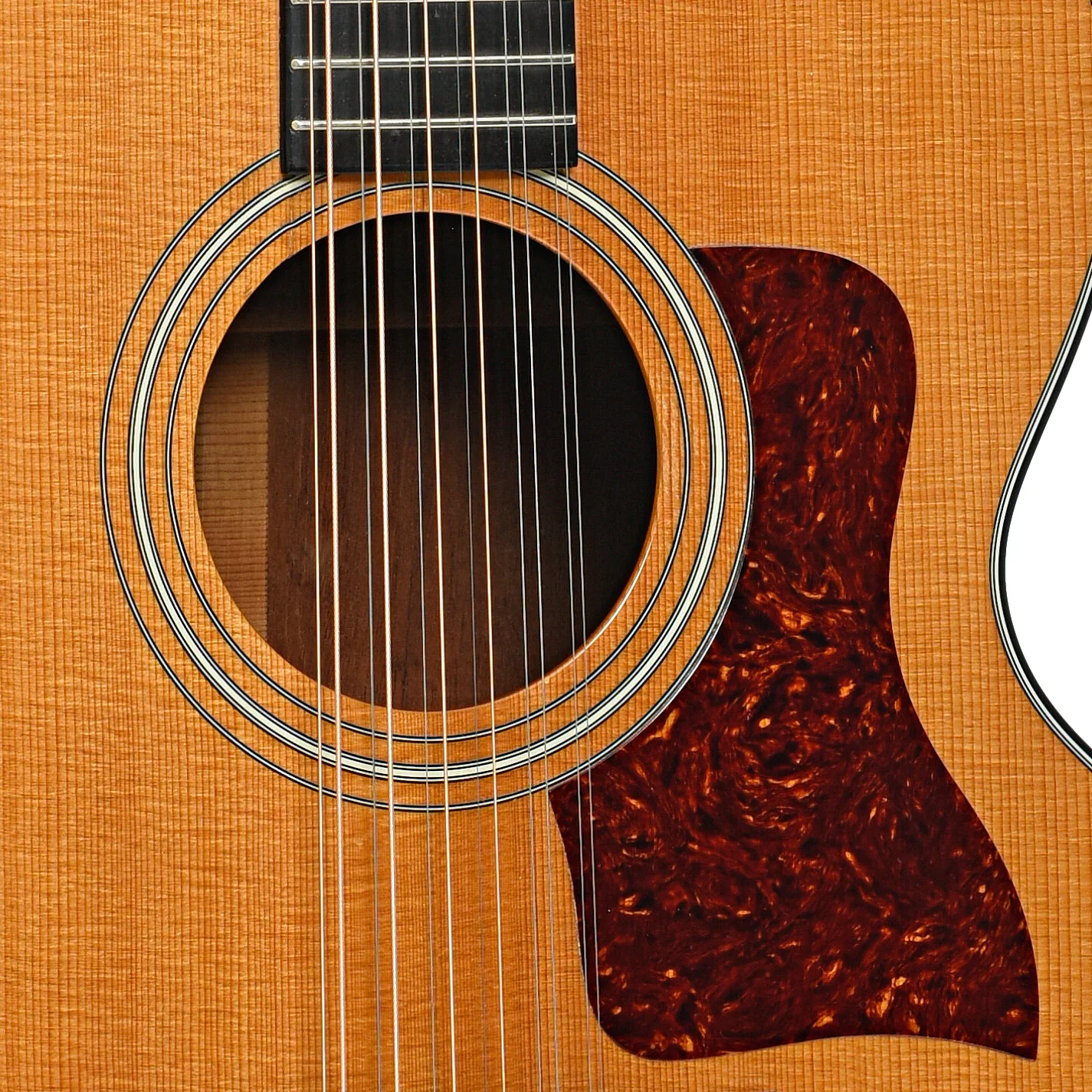 Taylor 555 12-String Acoustic Guitar (1990) - Image 6