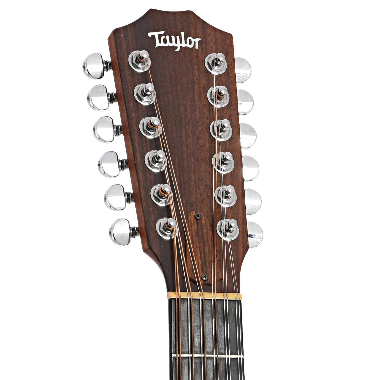 Taylor 555 12-String Acoustic Guitar (1993) - Image 8