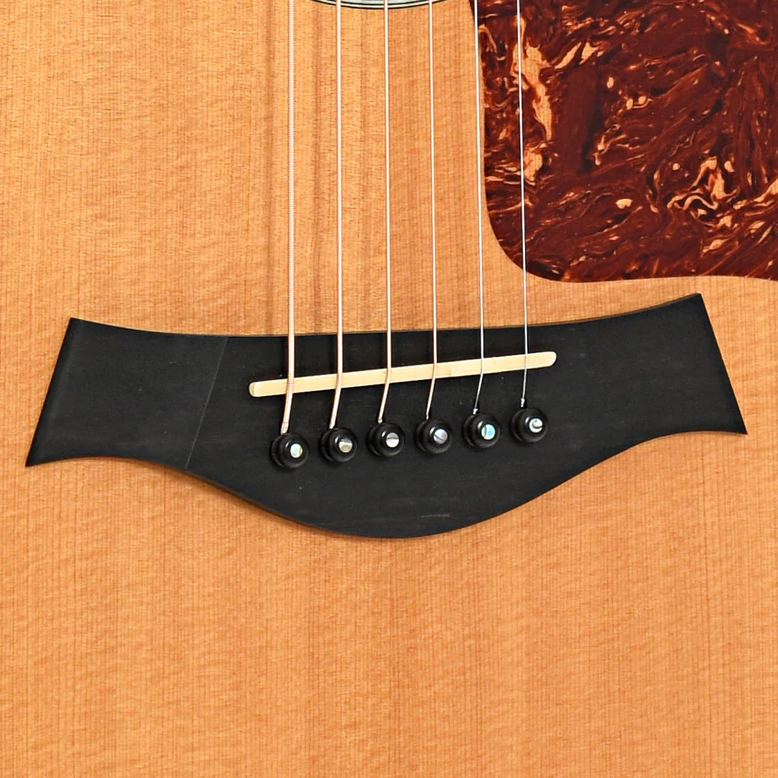 Taylor 600-SPEC Acoustic Guitar (2003) - Image 4