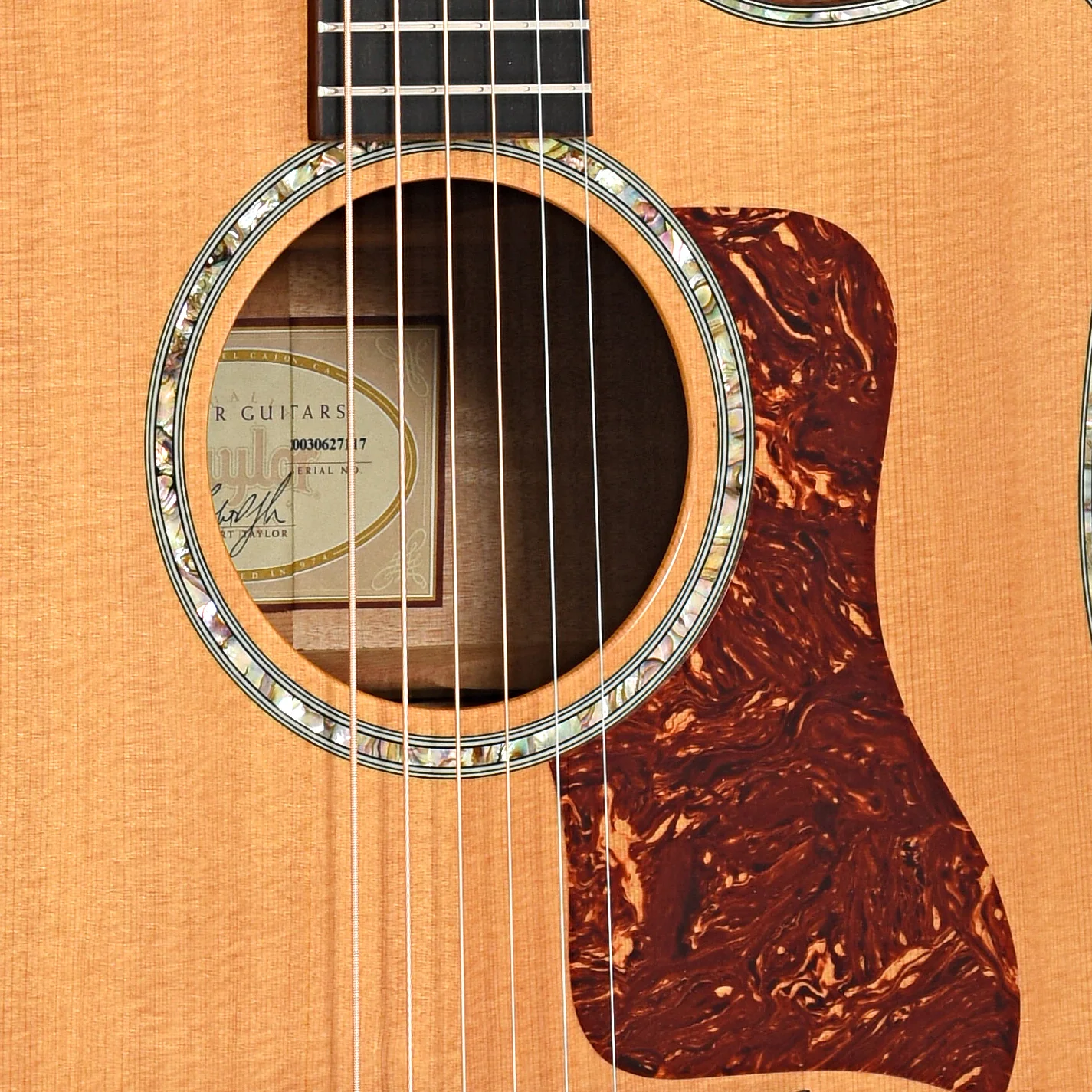 Taylor 600-SPEC Acoustic Guitar (2003) - Image 5
