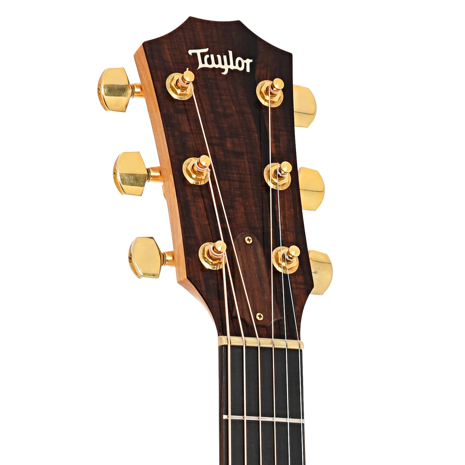 Taylor 600-SPEC Acoustic Guitar (2003) - Image 7