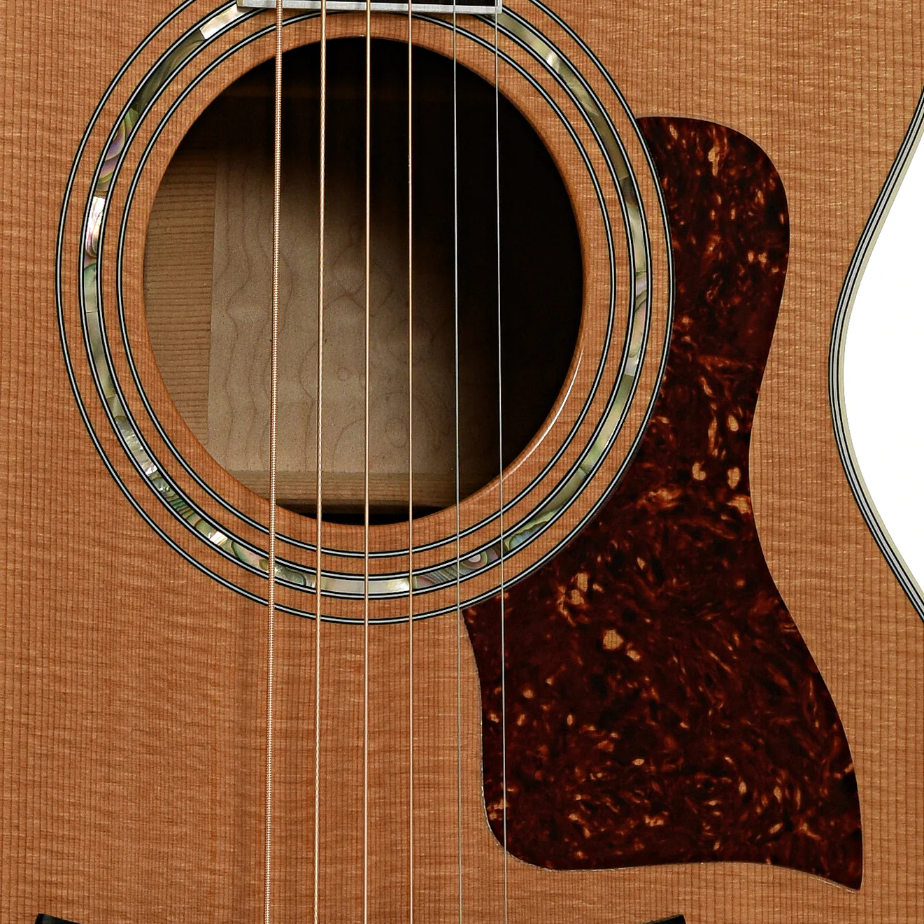 Taylor 612-C Acoustic Guitar (1994) - Image 6