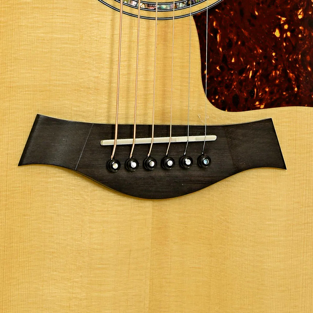 Taylor 810-B 2000 Fall Limited Edition Acoustic Guitar (2000) - Image 5