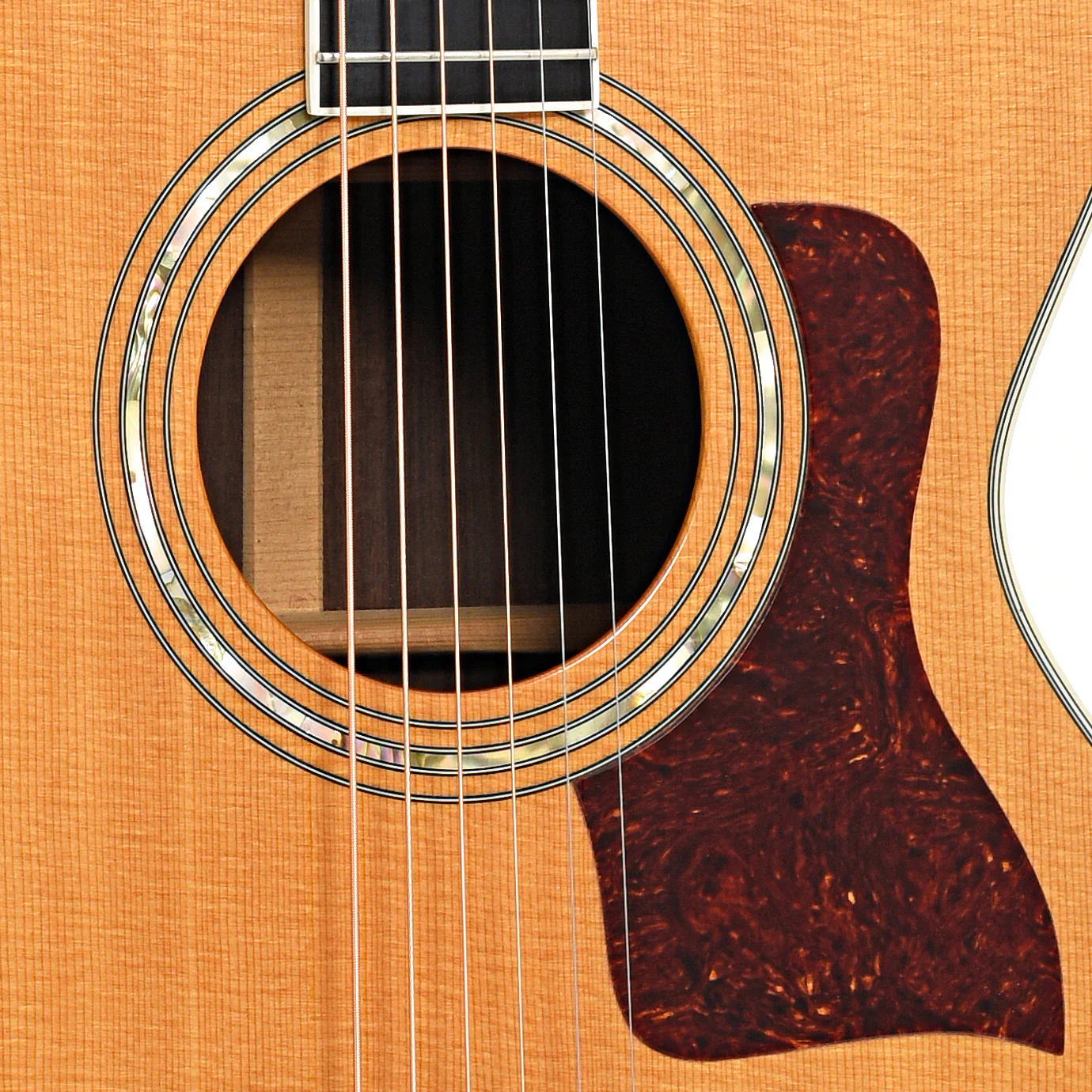 Taylor 812 Acoustic Guitar (1990) - Image 5
