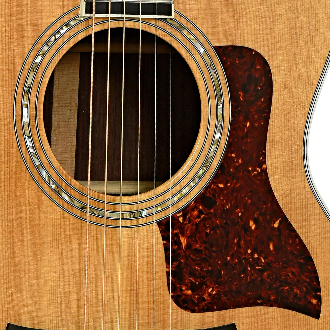 Taylor 814-C Acoustic Guitar (1997) - Image 6