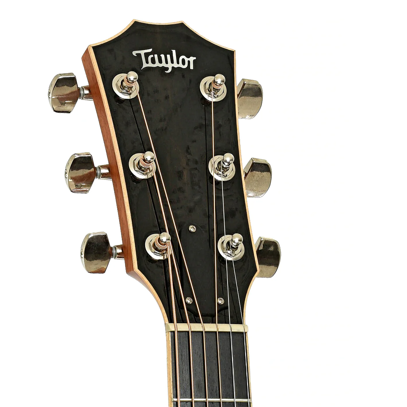 Taylor 818e Grand Orchestra Acoustic-Electric Guitar (2014) - Image 8
