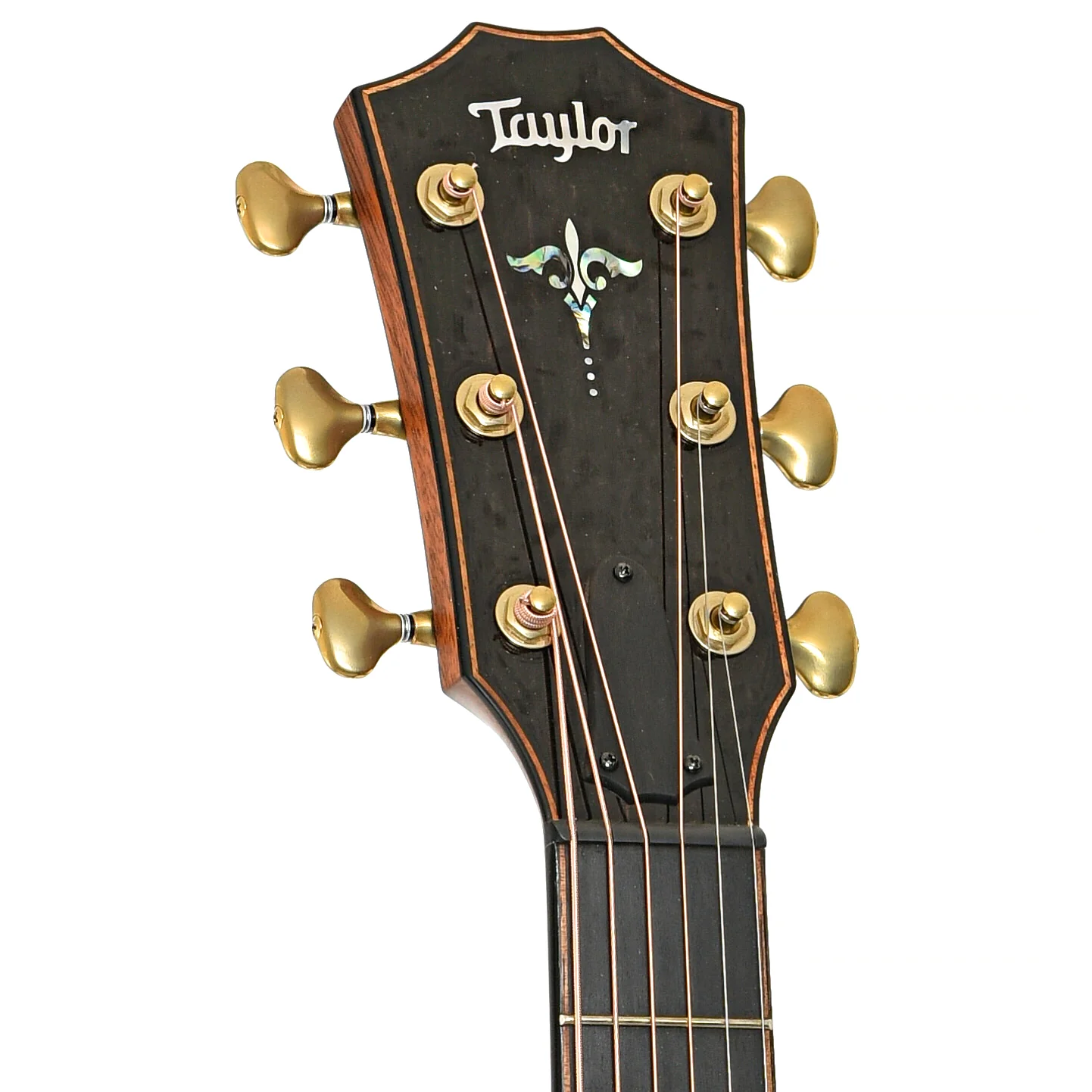 Taylor 912ce-SB Acoustic-Electric Guitar (2022) - Image 8