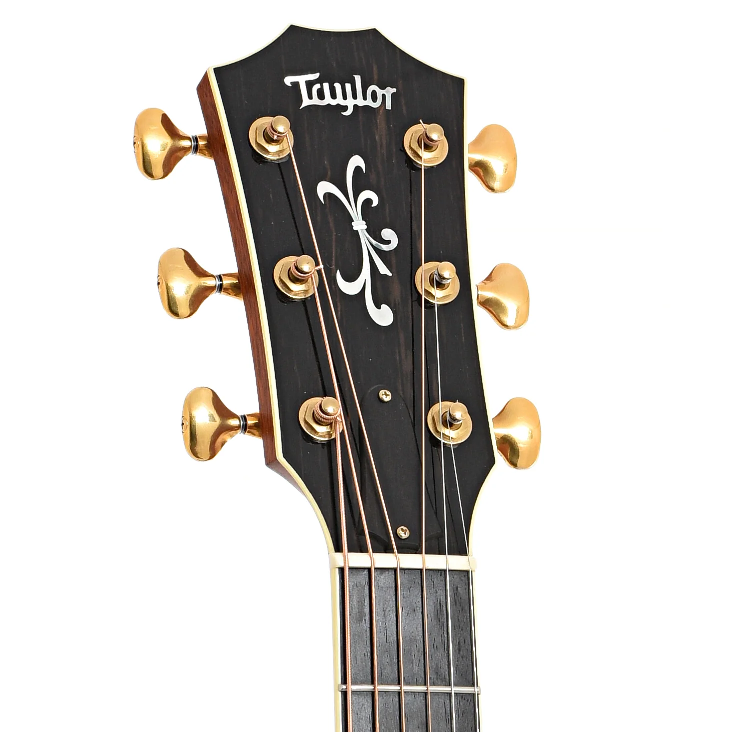 Taylor 916ce Grand Symphony Acoustic-Electric Guitar (2009) - Image 9