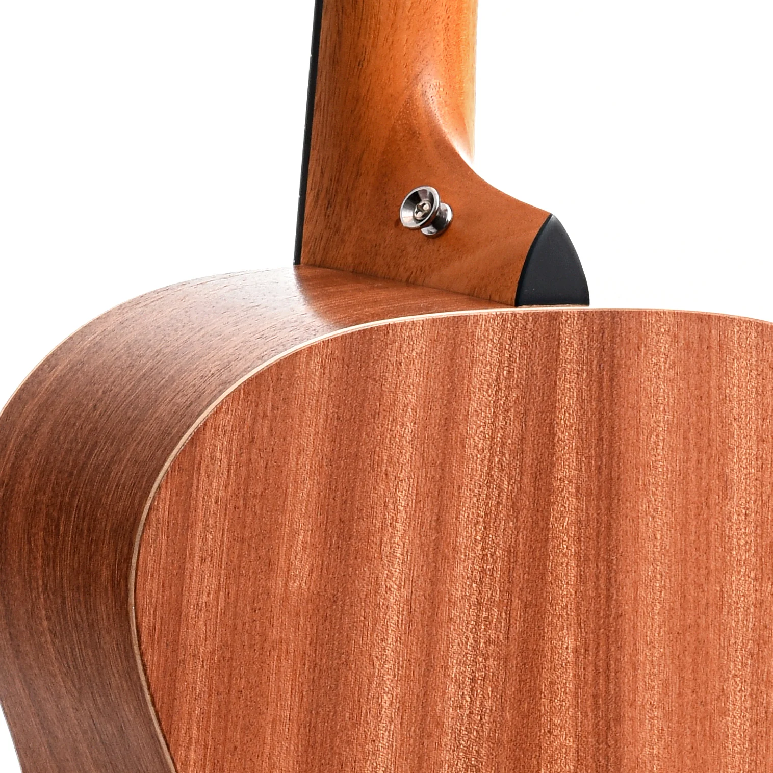 Taylor Academy 12e-N Nylon String Acoustic-Electric Guitar & Gigbag - Image 10