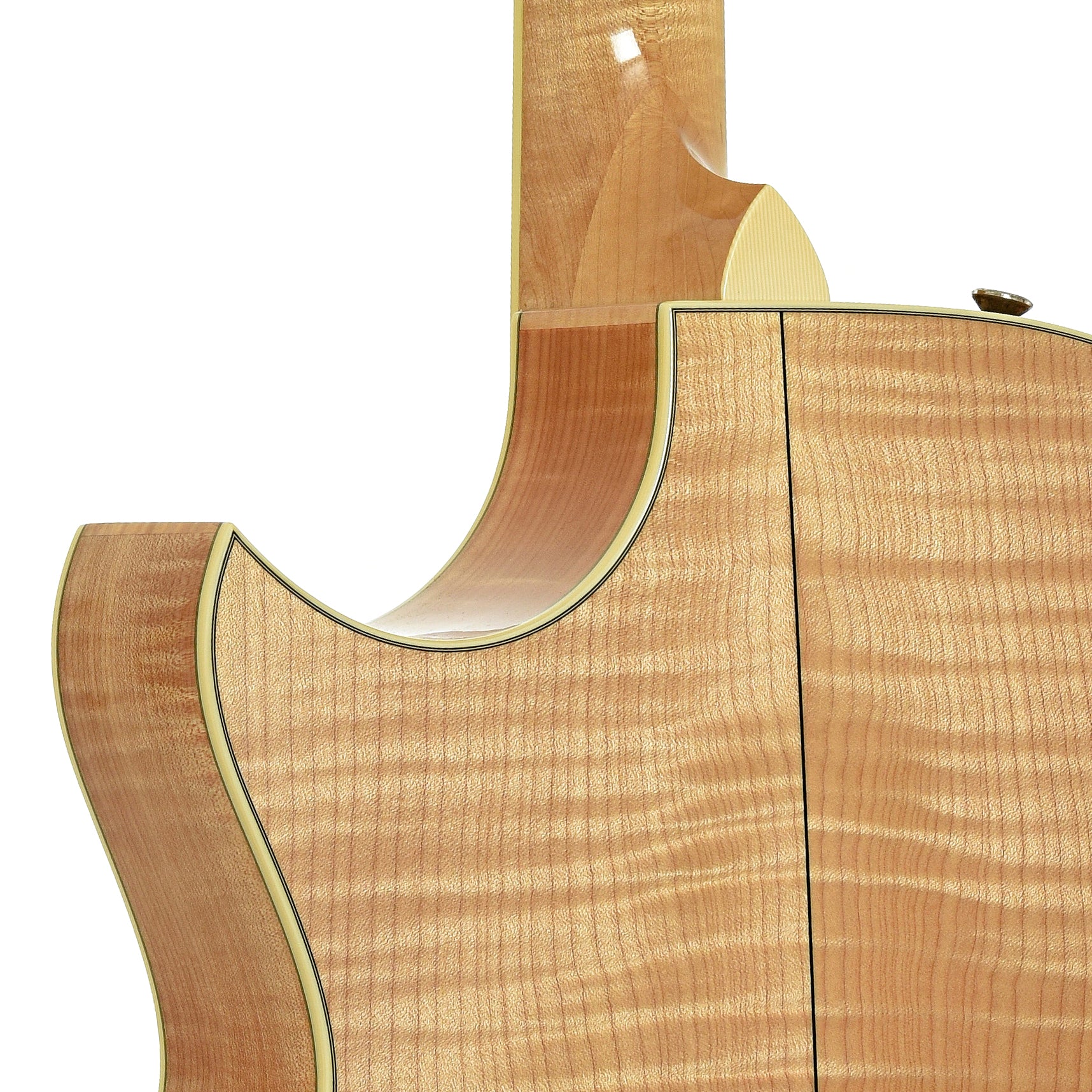 Taylor DDSM Doyle Dykes Signature Model  Guitar (2006) - Image 10