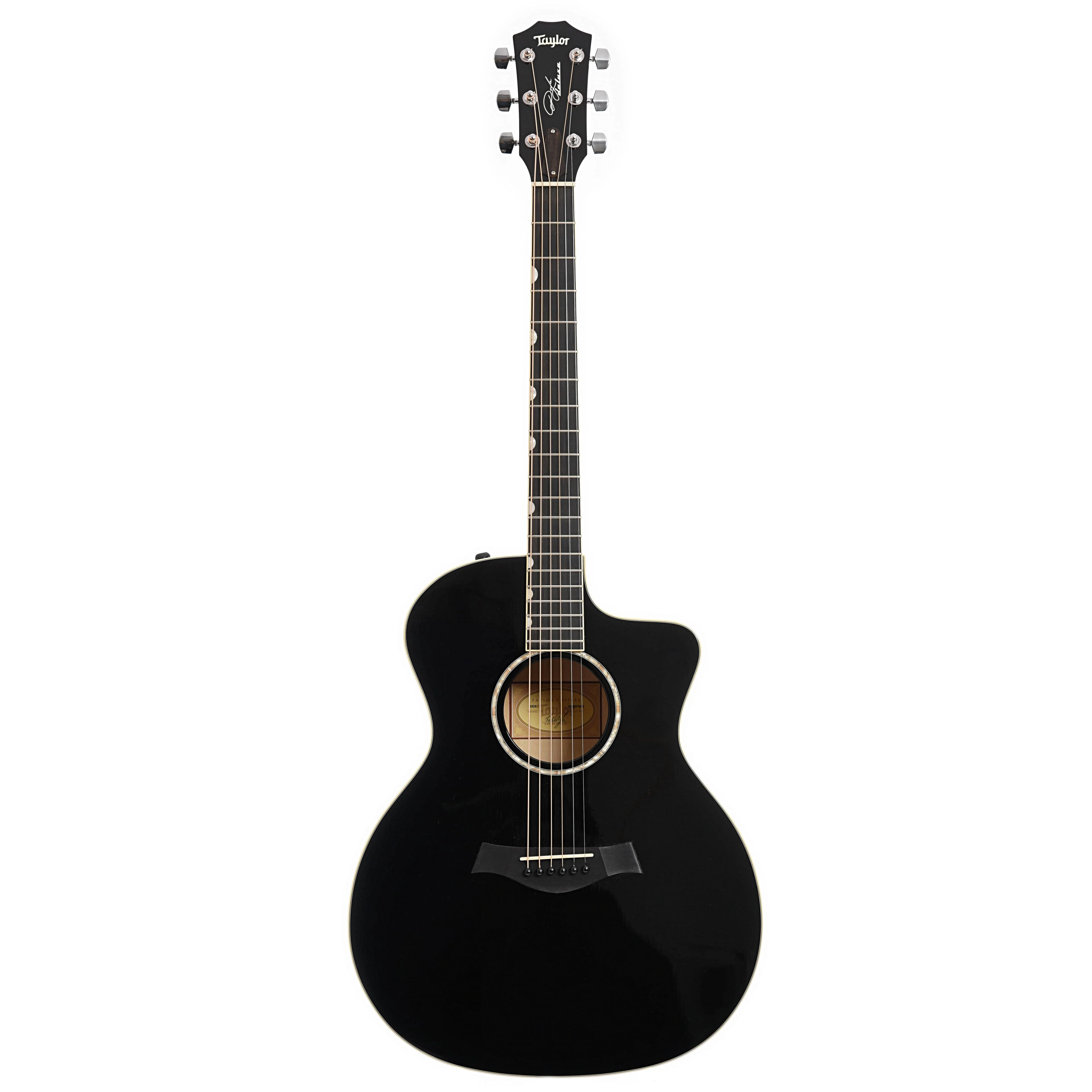 Taylor Doyle Dykes DDX Acoustic Guitar (2011) - Image 13