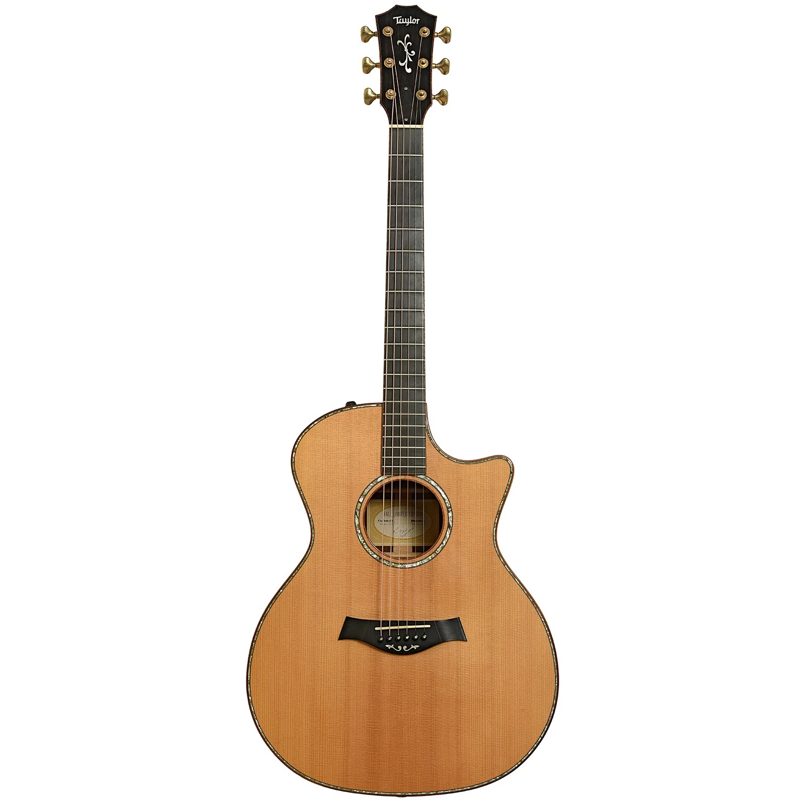 Taylor GA Cocobolo Fall Limited Edition Acoustic-Electric Guitar (2008) - Image 14