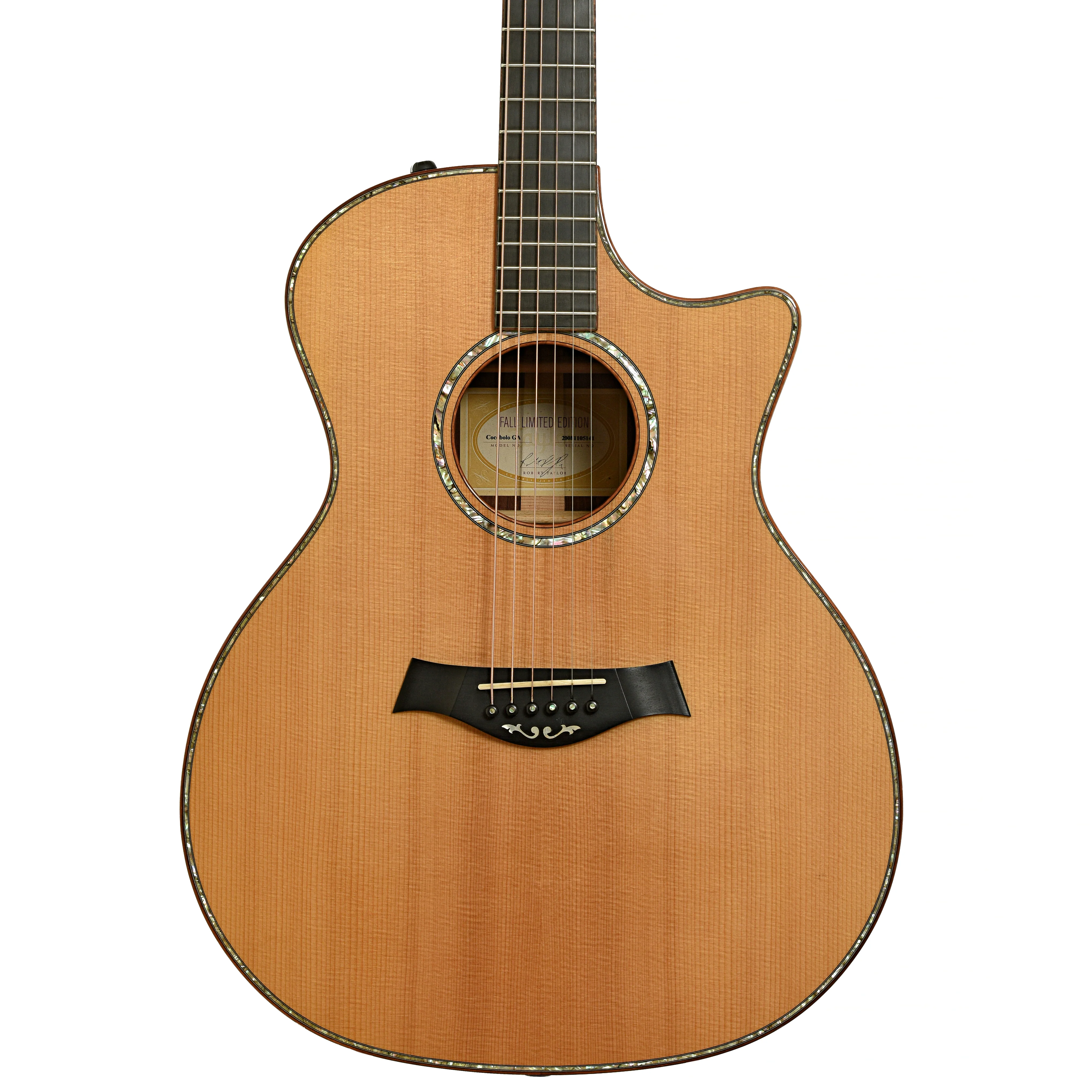 Taylor GA Cocobolo Fall Limited Edition Acoustic-Electric Guitar (2008) - Image 2