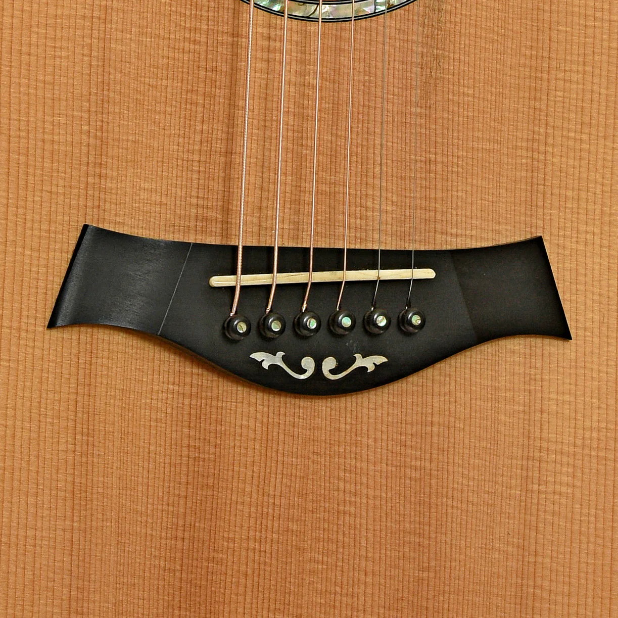 Taylor GA Cocobolo Fall Limited Edition Acoustic-Electric Guitar (2008) - Image 5