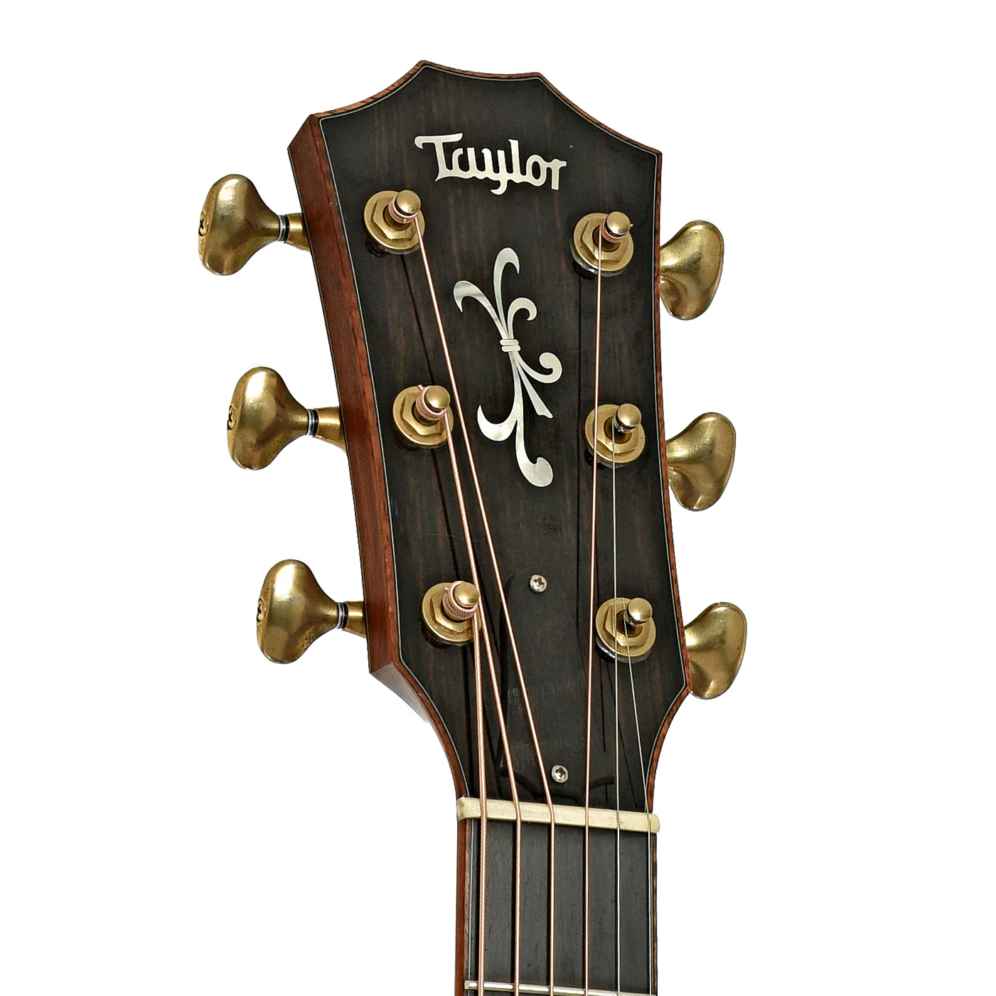 Taylor GA Cocobolo Fall Limited Edition Acoustic-Electric Guitar (2008) - Image 8