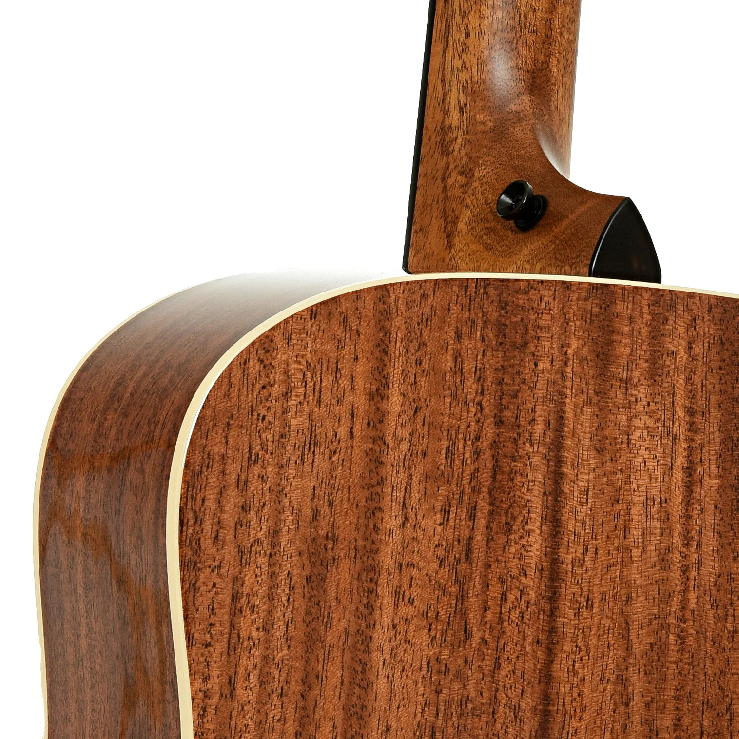 Taylor Gold Label 510e Acoustic-Electric Guitar & Case - Image 10