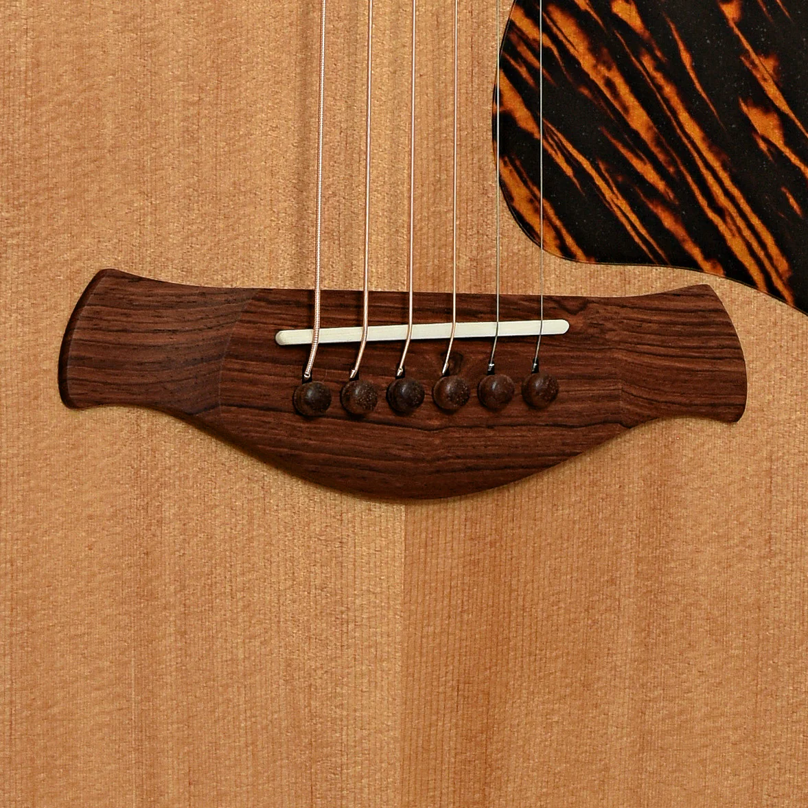 Taylor Gold Label 510e Acoustic-Electric Guitar & Case - Image 5
