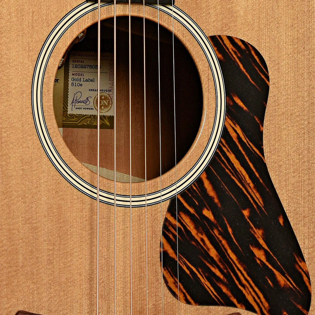 Taylor Gold Label 510e Acoustic-Electric Guitar & Case - Image 6