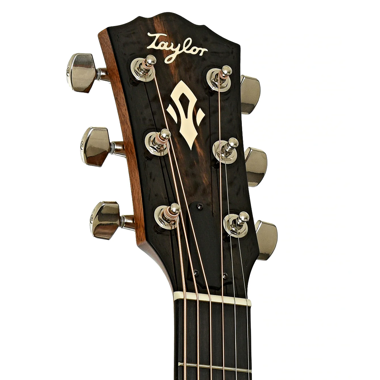 Taylor Gold Label 510e Acoustic-Electric Guitar & Case - Image 8